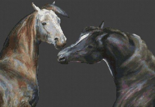 (image for) Pair of Arabians